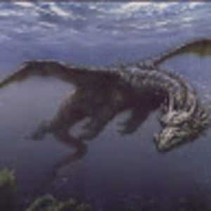 Meet your Posher, Roy